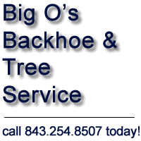 Big O's Tree Service